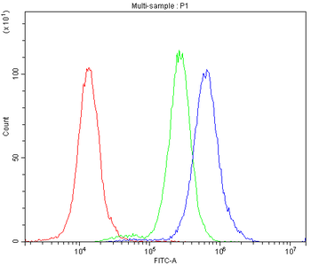 Bcl-X/BCL2L1 Antibody