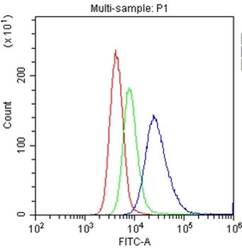 CD33 Rabbit Polyclonal Antibody
