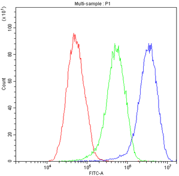 Factor I/CFI Antibody