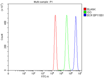 Bcr Rabbit Polyclonal Antibody