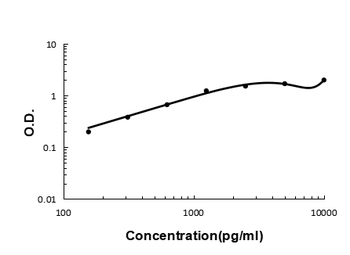 Carboxypeptidase B2/CPB2 Antibody