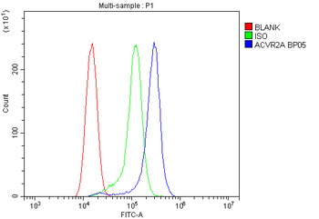 Anti-Activin Receptor Type IIA/ACVR2A Antibody