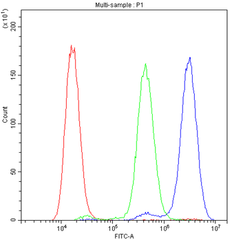 Anti-ADO Antibody