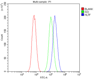HLTF Antibody