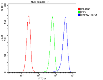 Proteasome 20S alpha 3/PSMA3 Antibody