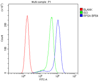 Anti-67kDa Laminin Receptor/RPSA Antibody