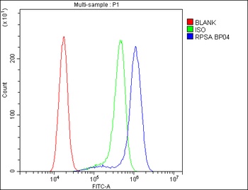 67kDa Laminin Receptor/RPSA Antibody