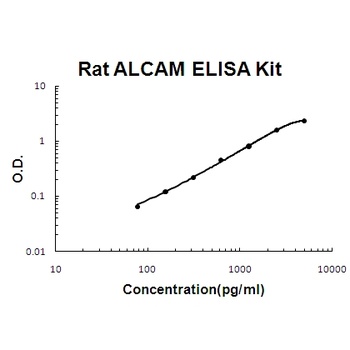 Rat ALCAM/CD166 ELISA Kit