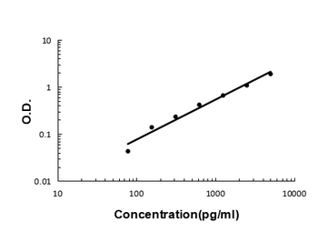 Anti-Angiogenin/ANG Antibody
