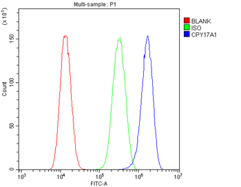 Cytochrome P450 17A1/CYP17A1 Antibody