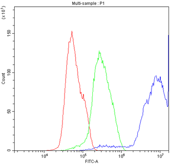 Anti-Diazepam Binding Inhibitor/DBI Antibody