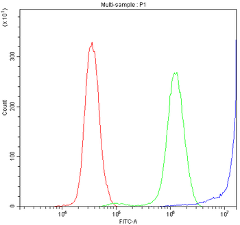 Anti-Diazepam Binding Inhibitor/DBI Antibody