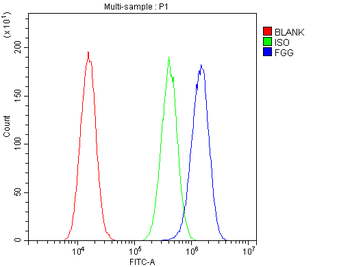 Fibrinogen gamma chain/FGG Rabbit Polyclonal Antibody