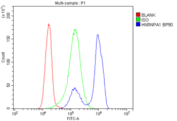 Anti-HnRNP A1/HNRNPA1 Antibody