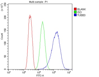 Beta Tubulin/TUBB Antibody