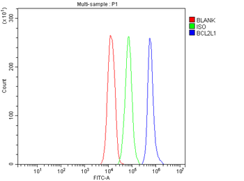 Bcl-XL/BCL2L1 Antibody