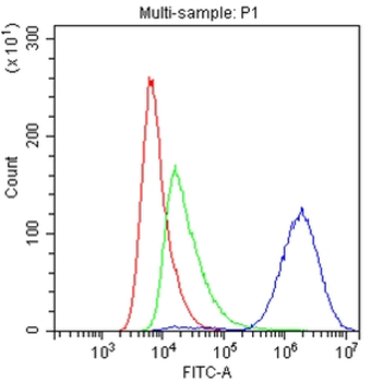 Anti-CD147/Emmprin/BSG Antibody