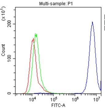 Anti-CD147/Emmprin/BSG Antibody
