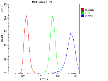 Anti-Cytokeratin 18/KRT18 Antibody