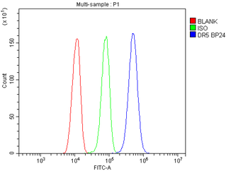 Anti-DR5/TNFRSF10B Antibody