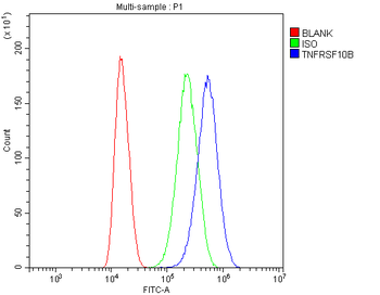 Anti-DR5/TNFRSF10B Antibody