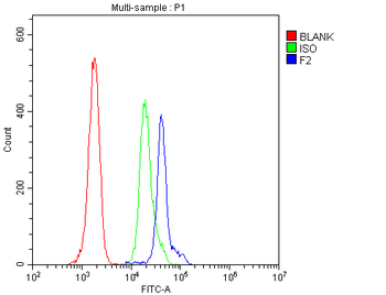 Prothrombin/F2 Antibody