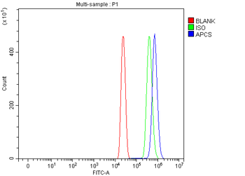 Serum Amyloid P/APCS Antibody