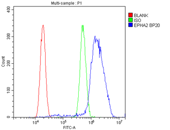 Anti-Eph receptor A2/EPHA2 Antibody
