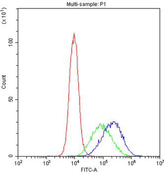 DC-SIGN/CD209 Antibody