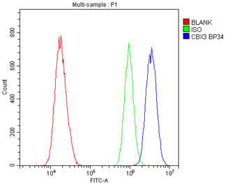 Anti-HP1 gamma/CBX3 Antibody