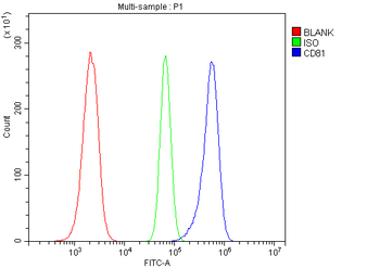 TAPA1/CD81 Antibody