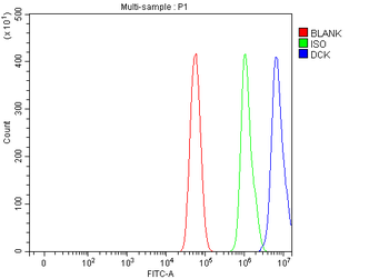 Anti-DCK Antibody
