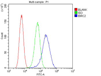 cIAP1/BIRC2 Antibody