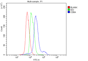 CD8 alpha/Cd8a Rabbit Polyclonal Antibody