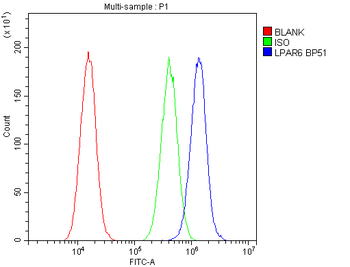 P2RY5/LPAR6 Rabbit Polyclonal Antibody
