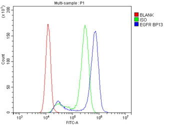EGFR Antibody