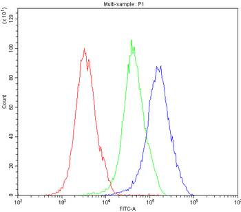 NFAT2/NFATC1 Antibody