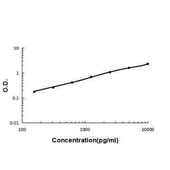 Anti-Galectin 1/Lgals1 Antibody