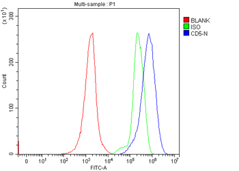 CD5 Rabbit Polyclonal Antibody