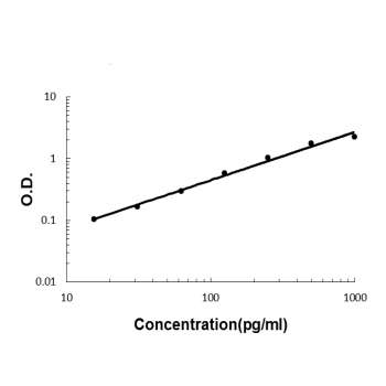 Anti-IL-22/IL22 Antibody