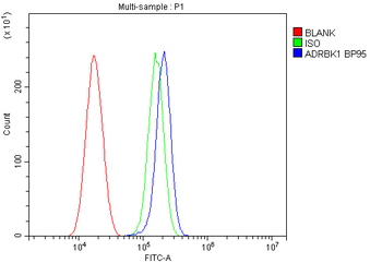 GRK2/GRK2 Antibody