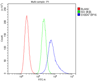 Psoriasin/S100A7 Antibody