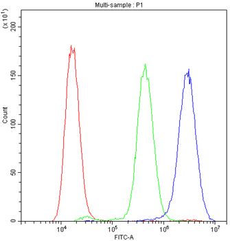 Anti-PPID Antibody