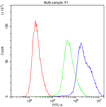 Anti-PPID Antibody