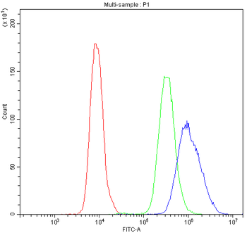 Anti-NFATC4 Antibody