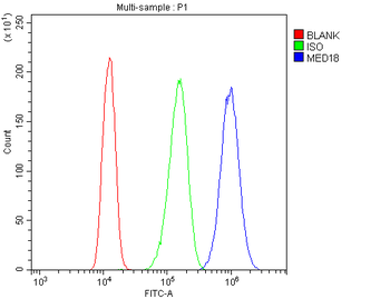 MED18 Antibody
