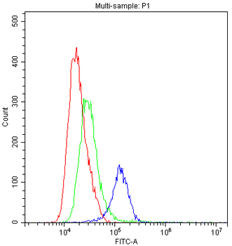 Anti-TLR1 Antibody