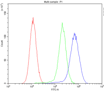 Anti-MVP Antibody