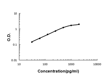 Anti-BCMA/TNFRSF17 Antibody