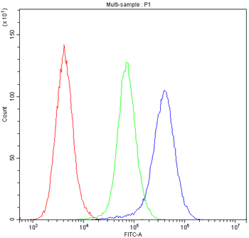 Anti-Insulin degrading enzyme/IDE Antibody